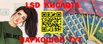 спиды Славгород