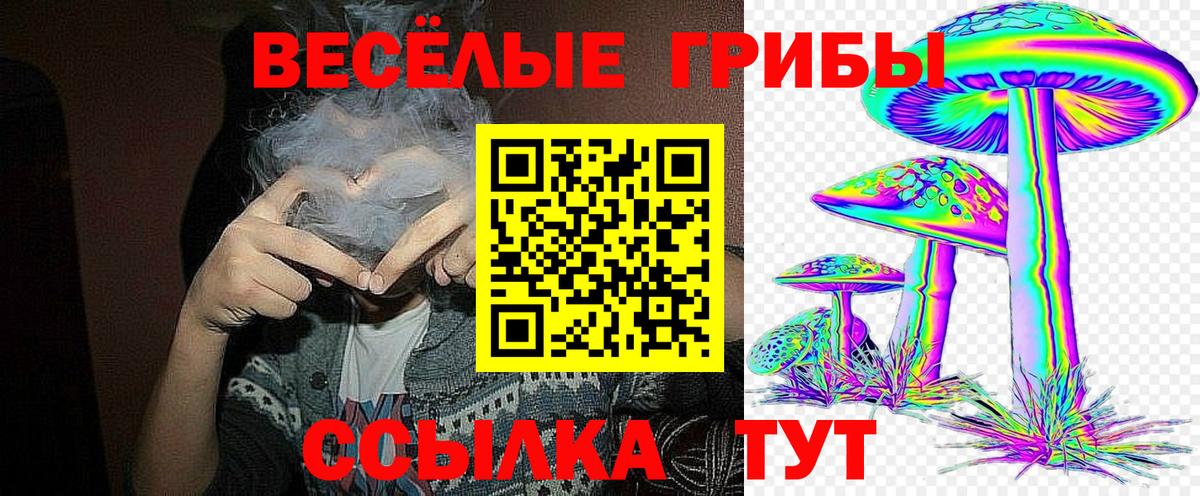 Орск  Галлюциногенные грибы Magic Shrooms  Вход с VPN  Псилоцибиновые грибы GOLDEN TEACHER 